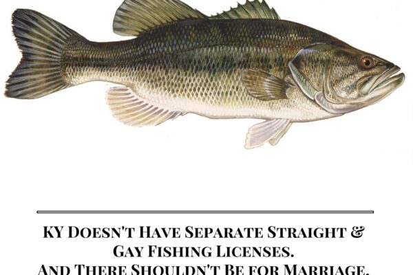 Fish-Ammend-SB5-Branded.jpg