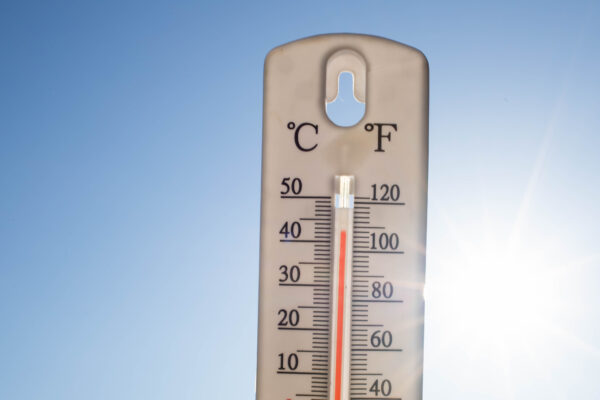 thermometer-over-38-degrees-heat-wave-2022-08-18-06-52-01-utc.jpg