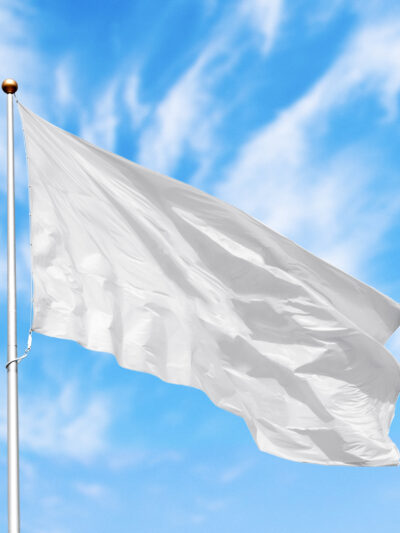 blank-white-flag-with-copy-space-against-blue-clou-2023-11-27-04-56-45-utc (1).jpg