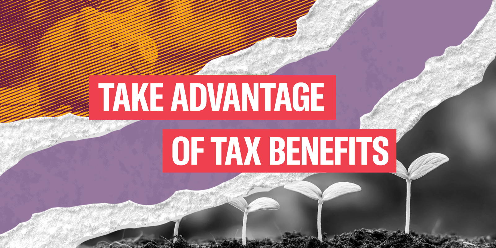 tax bene.png