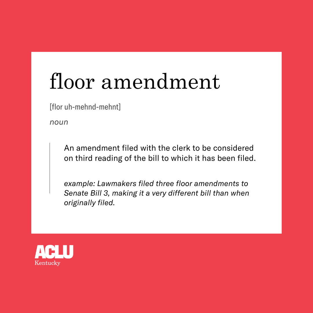 floor amendment definition