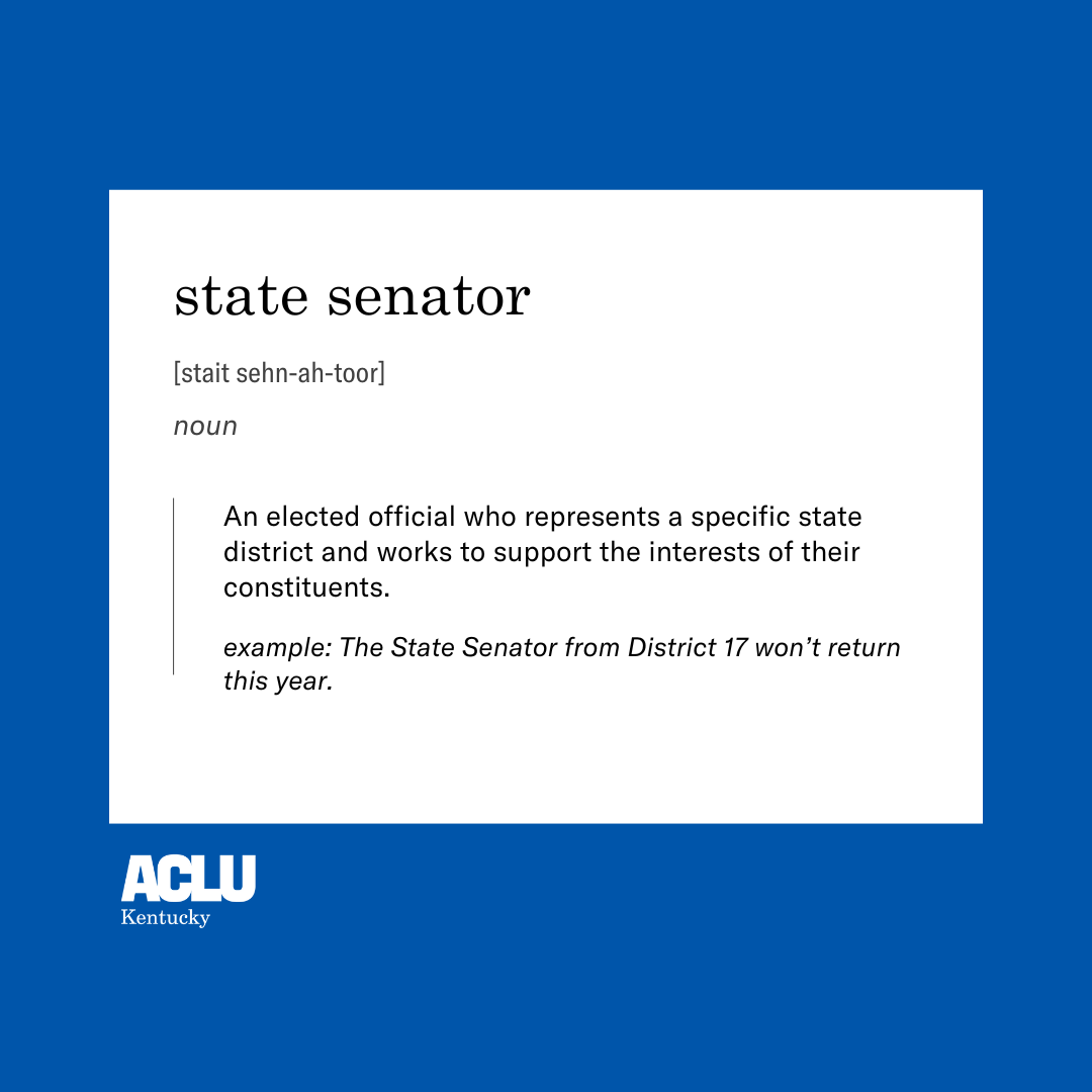 state senator definition