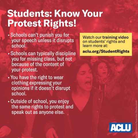 Graphic of Know Your Rights Information for Student Protesters 