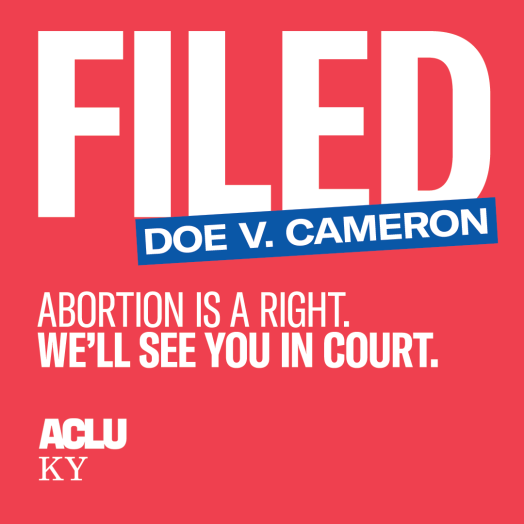 White text reads "FILED" over a red background. A blue box with white text reads "Doe v. Cameron." White text underneath reads "Abortion is a right. We'll see you in court."