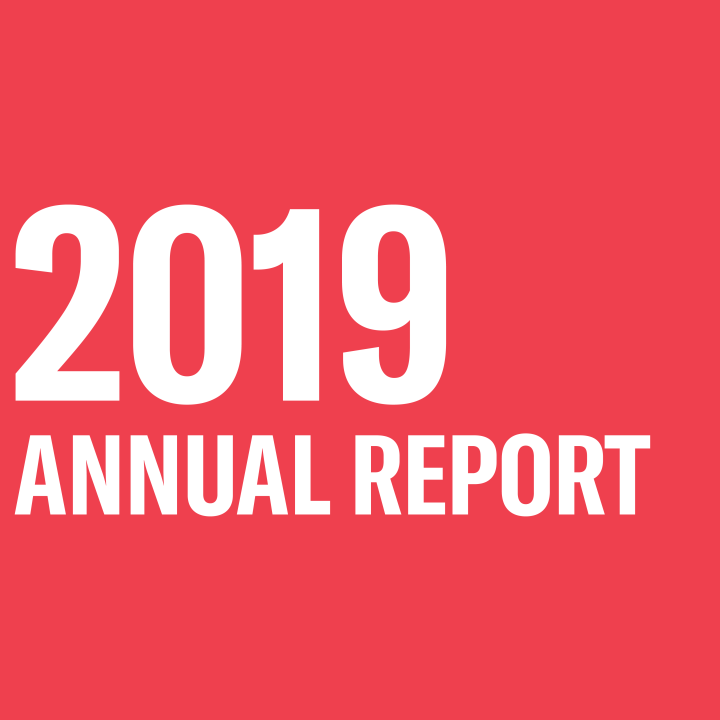 Red background with white text reading "2019 annual report"