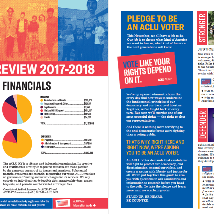 screen grab of annual report 